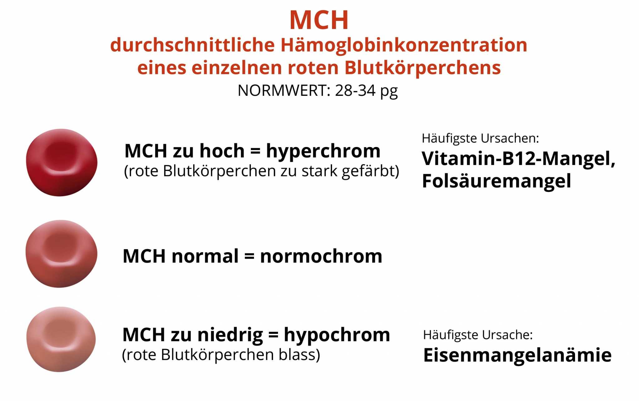 MCH Welche Bedeutung Hat Dieser Blutwert 